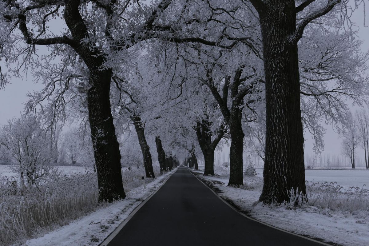 Landschaft