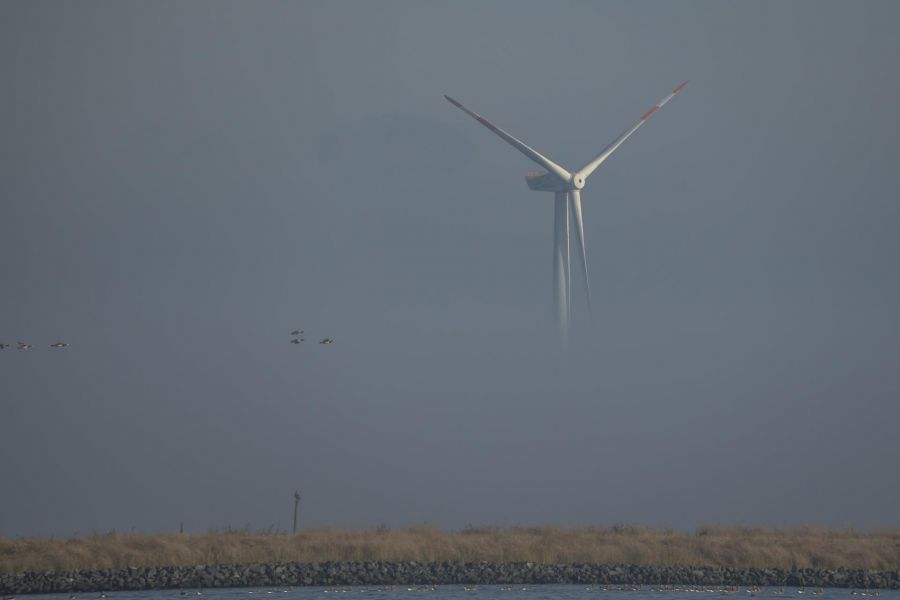Nebel