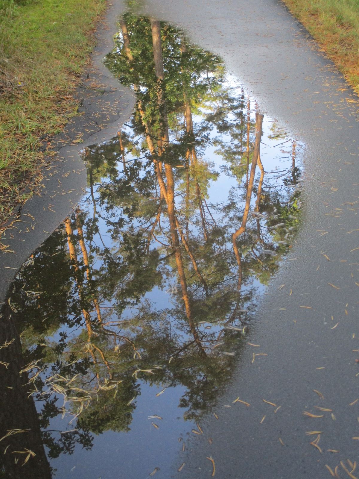 Siegerbild